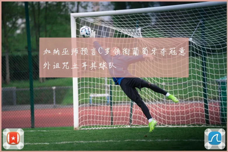 加纳巫师预言C罗领衔葡萄牙夺冠意外诅咒土耳其球队