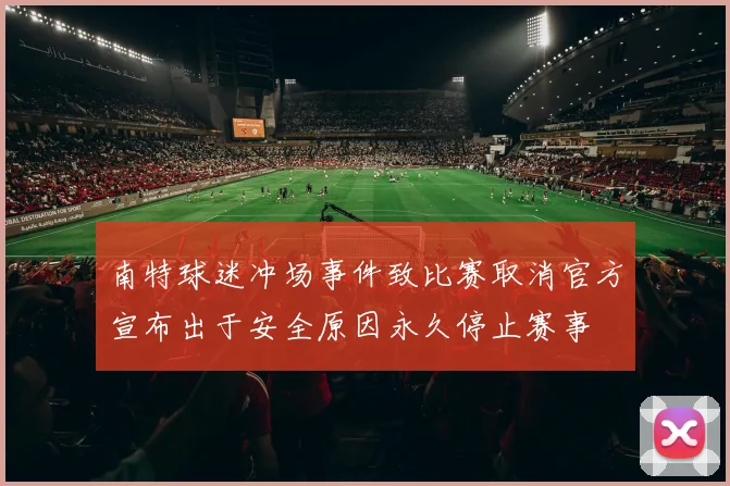 南特球迷冲场事件致比赛取消官方宣布出于安全原因永久停止赛事