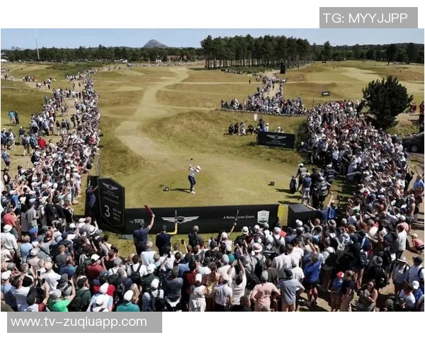 小麦2023年为苏格兰打进12球成为球队进球王其他球员进球数仅为其一半